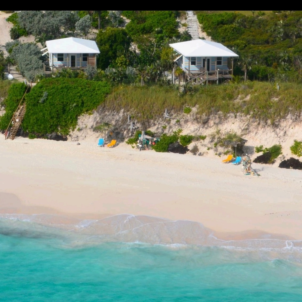 Meet your Posher, Ingrid